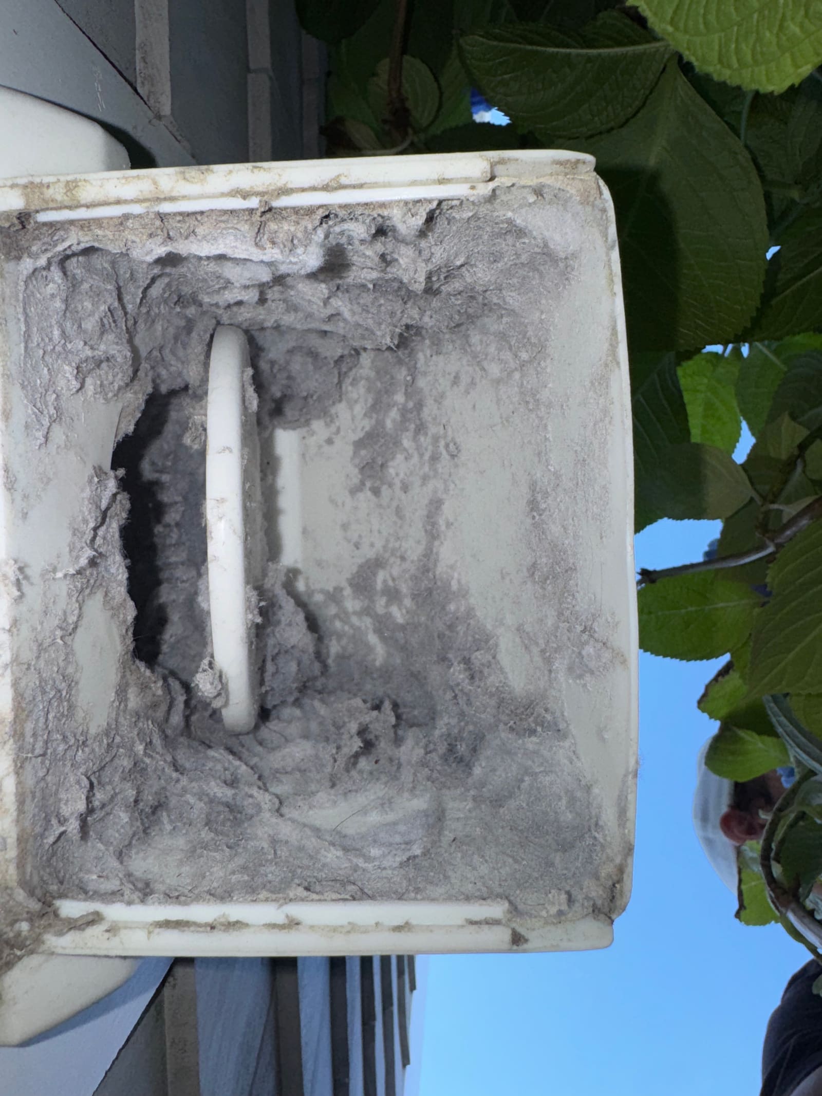 Exterior wall vent cover matted over with grey lint, holding the flap shut so exhaust cannot escape.