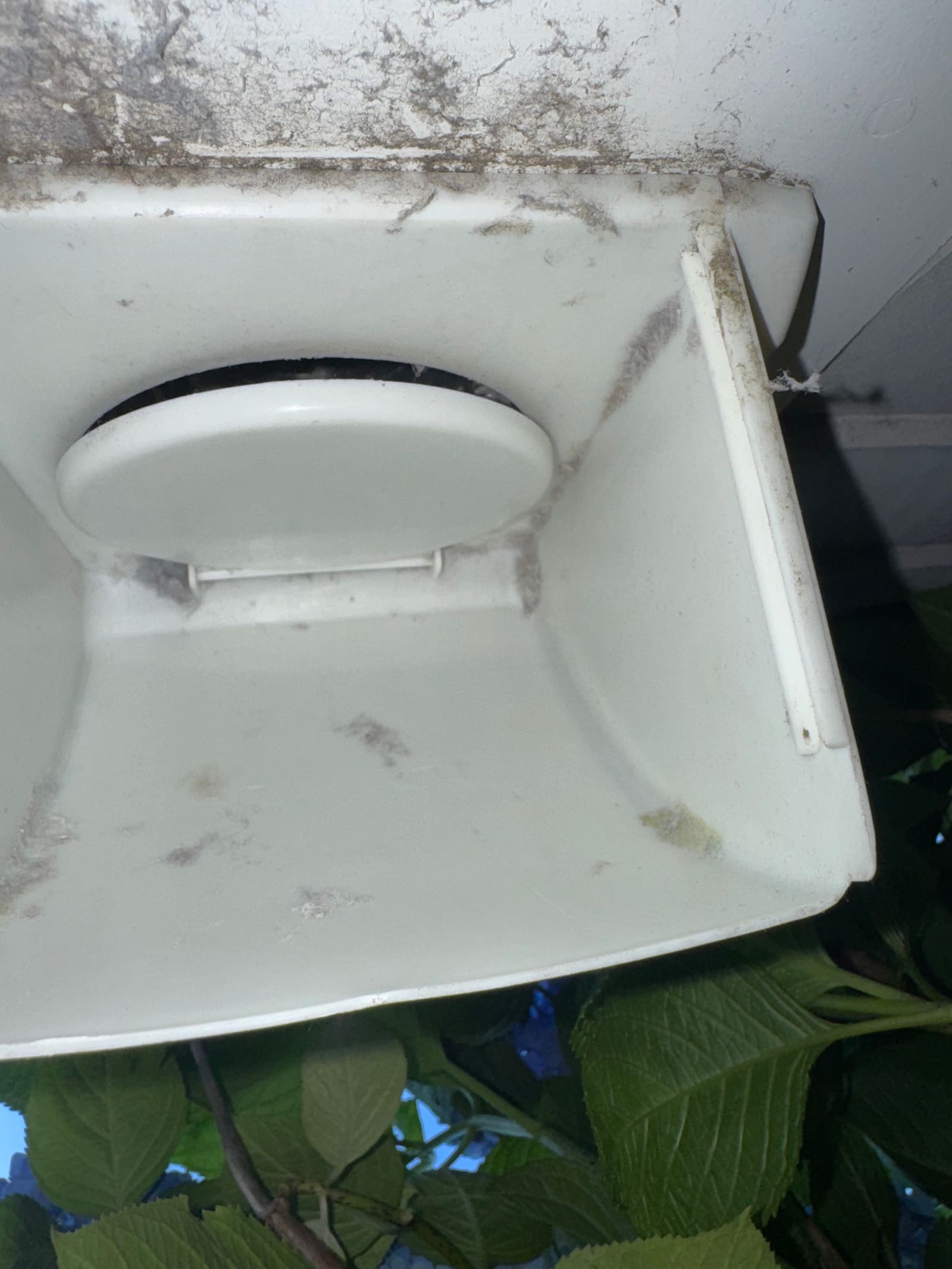 A newly installed white exterior dryer vent hood with a clean, freely swinging flap.